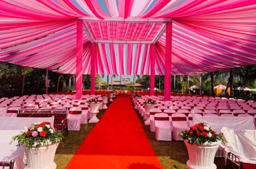 Best Way to Do Eco and Agriculture